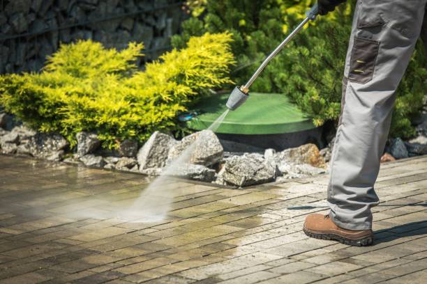 Animal Enclosure Cleaning in Woodstock, GA